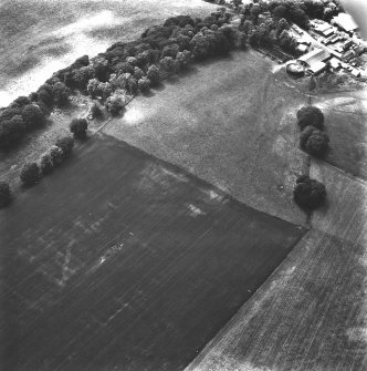 Oblique aerial view