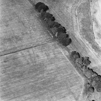 Castledykes, oblique aerial view, taken from the SSW, centred on cropmarks of the E half of a field-system.