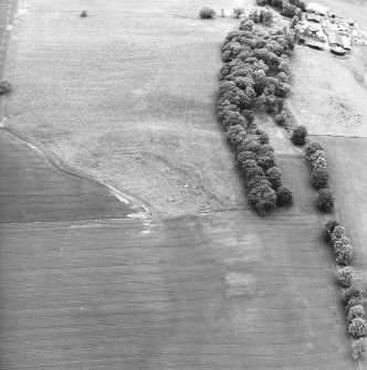 Oblique aerial view centred on the remains of the Roman fort, taken from the E.