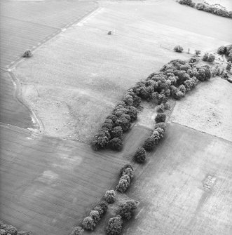 Oblique aerial view centred on the remains of the Roman fort, taken from the ENE.