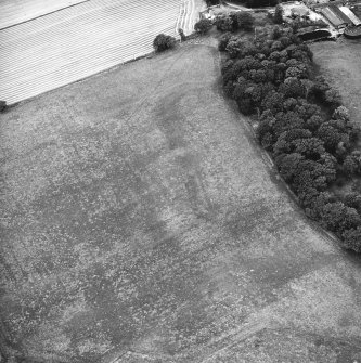 Oblique aerial view centred on the parchmarks of the Roman fort, taken from the ESE.