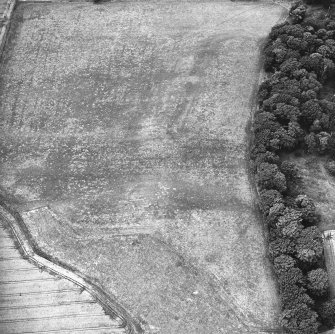 Oblique aerial view centred on the parchmarks of the Roman fort, taken from the E.