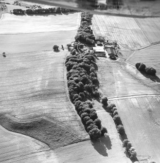Oblique aerial view centred on the cropmarks of the Roman Fort with the farmstead adjacent, taken from the E.