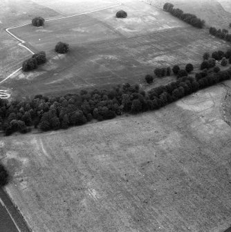 Oblique aerial view