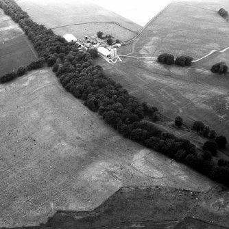 Oblique aerial view