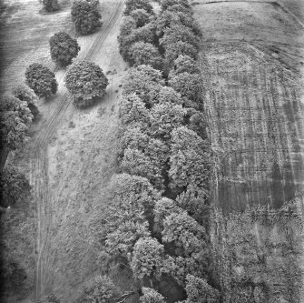 Oblique aerial view