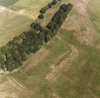 Oblique aerial view.