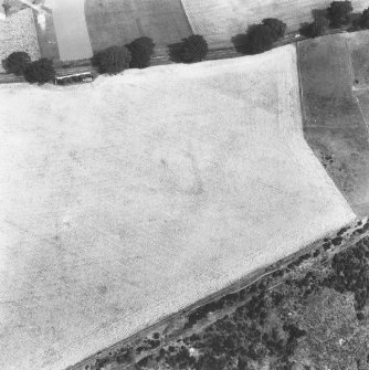 Oblique aerial view.