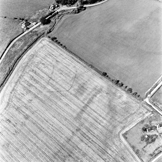 Skirling Mains, oblique aerial view, taken from the SSE, centred on the cropmarks of a possible settlement and an enclosure.