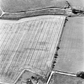 Skirling Mains, oblique aerial view, taken from the ESE, centred on the cropmarks of a possible settlement and an enclosure.