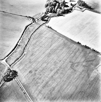 Skirling mains, oblique aerial view, taken from the S, centred on the cropmarks of a possible settlement.