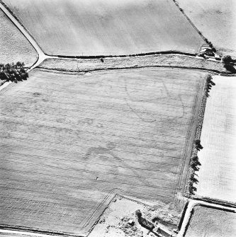 Skirling mains, oblique aerial view, taken from the E, centred on the cropmarks of a possible settlement.