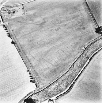 Skirling mains, oblique aerial view, taken from the NW, centred on the cropmarks of a possible settlement.