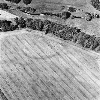 Coulter Mains, oblique aerial view, taken from the SSW, centred on the cropmarks of the rig.