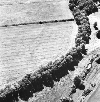 Coulter Mains, oblique aerial view, taken from the NE, centred on the cropmarks of the rig.