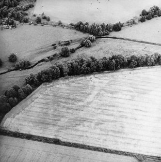 Oblique aerial view centred on the cropmarks of the rig and palaeochanels, taken from the SW.