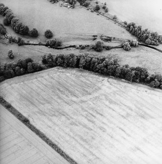 Oblique aerial view centred on the cropmarks of the rig and palaeochanels, taken from the S.