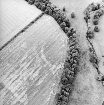 Oblique aerial view centred on the cropmarks of the rig and palaeochanels, taken from the E.