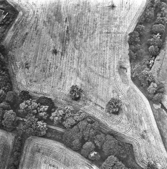 Coulter Mains, oblique aerial view, taken from the ESE, showing the cropmark of a settlement in the centre of the photograph.