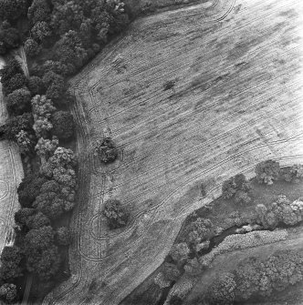 Coulter Mains, oblique aerial view, taken from the E, showing the cropmark of a settlement in the centre of the photograph.
