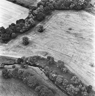 Coulter Mains, oblique aerial view, taken from the N, showing the cropmark of a settlement in the centre of the photograph.