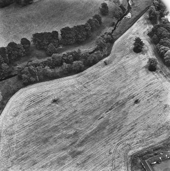 Coulter Mains, oblique aerial view, taken from the W, showing the cropmark of a settlement in the centre of the photograph.
