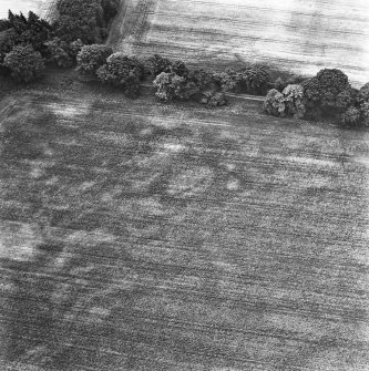 Coulter Mains, oblique aerial view, taken from the S, showing the cropmark of an enclosure in the centre of the photograph.