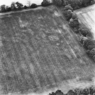 Coulter Mains, oblique aerial view, taken from the SSE, showing the cropmark of an enclosure in the centre of the photograph.