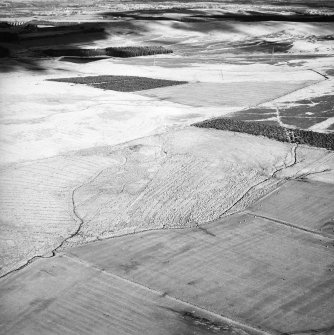 Morton Hill, oblique aerial view, taken from the SW, showing a sheepfold protruding from woodland in the centre right of the photograph, and an area of rig in the centre and top half.