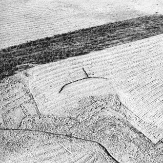 Morton Hill, oblique aerial view, taken from the E, showing a sheep shelter in the centre of the photograph, surrounded by an area of rig.