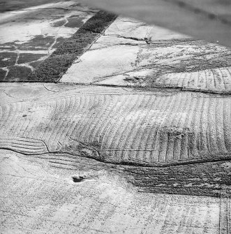 Morton Hill, oblique aerial view, taken from the NNE, showing an area of rig and furrow cultivation across the bottom half of the photograph, and a sheepfold protruding from the woodland in the top left-hand corner.