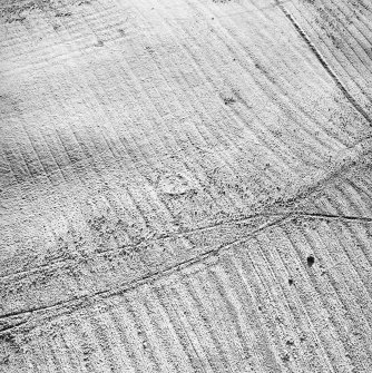 Morton Hill, oblique aerial view, taken from the N, showing an area of rig and furrow cultivation across the photograph, and a sheepfold in the centre.