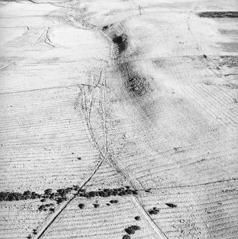 Morton Hill, oblique aerial view, taken from the WSW, showing an area of rig and furrow cultivation across the photograph, and a sheepfold in the centre.