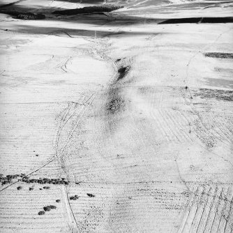 Morton Hill, oblique aerial view, taken from the SW, showing an area of rig and furrow cultivation across the photograph, and a sheepfold in the centre.