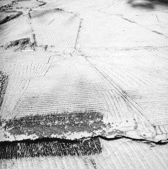 Morton Hill and Cowthrople, oblique aerial view, taken from the S, showing an area of rig and furrow cultivation across the photograph, and a ruined farmstead in the centre left.