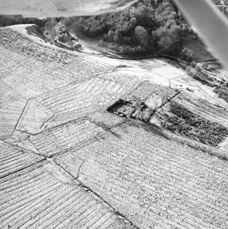 Morton Hill and Cowthrople, oblique aerial view, taken from the NE, showing an area of rig and furrow cultivation across the photograph, and a ruined farmstead in the centre.