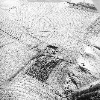 Morton Hill and Cowthrople, oblique aerial view, taken from the NW, showing an area of rig and furrow cultivation across the photograph, and a ruined farmstead in the centre.