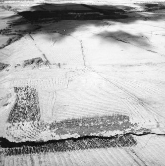 Morton Hill and Cowthrople, oblique aerial view, taken from the SSE, showing an area of rig and furrow cultivation across the photograph, and a ruined farmstead in the centre left.