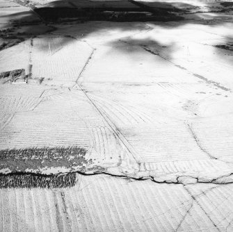 Morton Hill and Cowthrople, oblique aerial view, taken from the SSE, showing an area of rig and furrow cultivation across the photograph, and a ruined farmstead in the centre left.