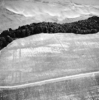 Oblique aerial view.