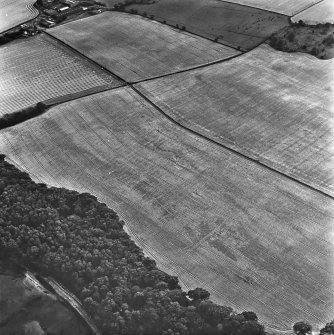 Oblique aerial view.