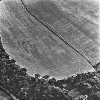 Oblique aerial view.