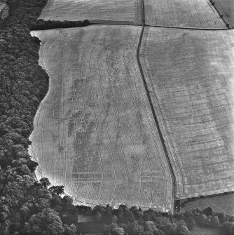Oblique aerial view.