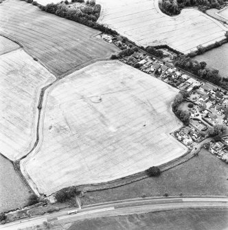 Muirhouses and Drum, oblique aerial view, taken from the SW, centred on the cropmarks of a Roman Temporary Camp and possible souterrain.