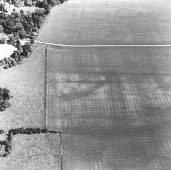 Oblique aerial view.