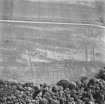 Oblique aerial view.