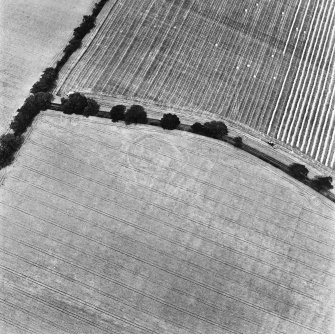 Raeburnfoot, oblique aerial view, taken from the NNE, centred on the bank barrow. Raeburnfoot Roman Fort, and enclosures at Kiln Syke, are visible in the top left-hand corner of the photograph.,