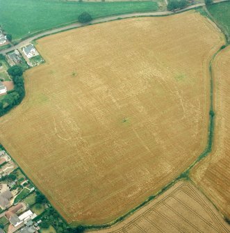 Oblique aerial view of Muirhouses centred on the cropmarks of a Roman temporary camp, taken from the NE.