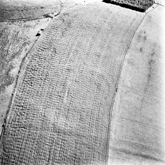 Oblique aerial view, taken from the NE, centred on the cropmarks of a fort.