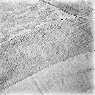 Oblique aerial view, taken from the N, centred on the cropmarks of a fort.